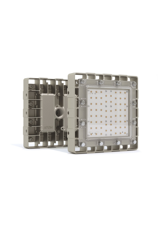 АТ-ДСП-11/30-220VAC-IP67-EX